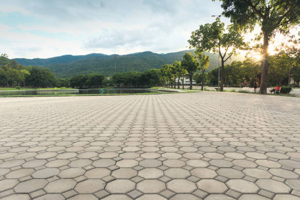 Best Driveway Paving Near Me  in Centerville, TN