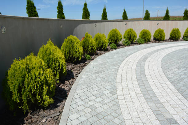 Best Custom Driveway Pavers  in Centerville, TN